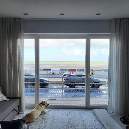 Bel Air - Romantic With Seaview T11 *